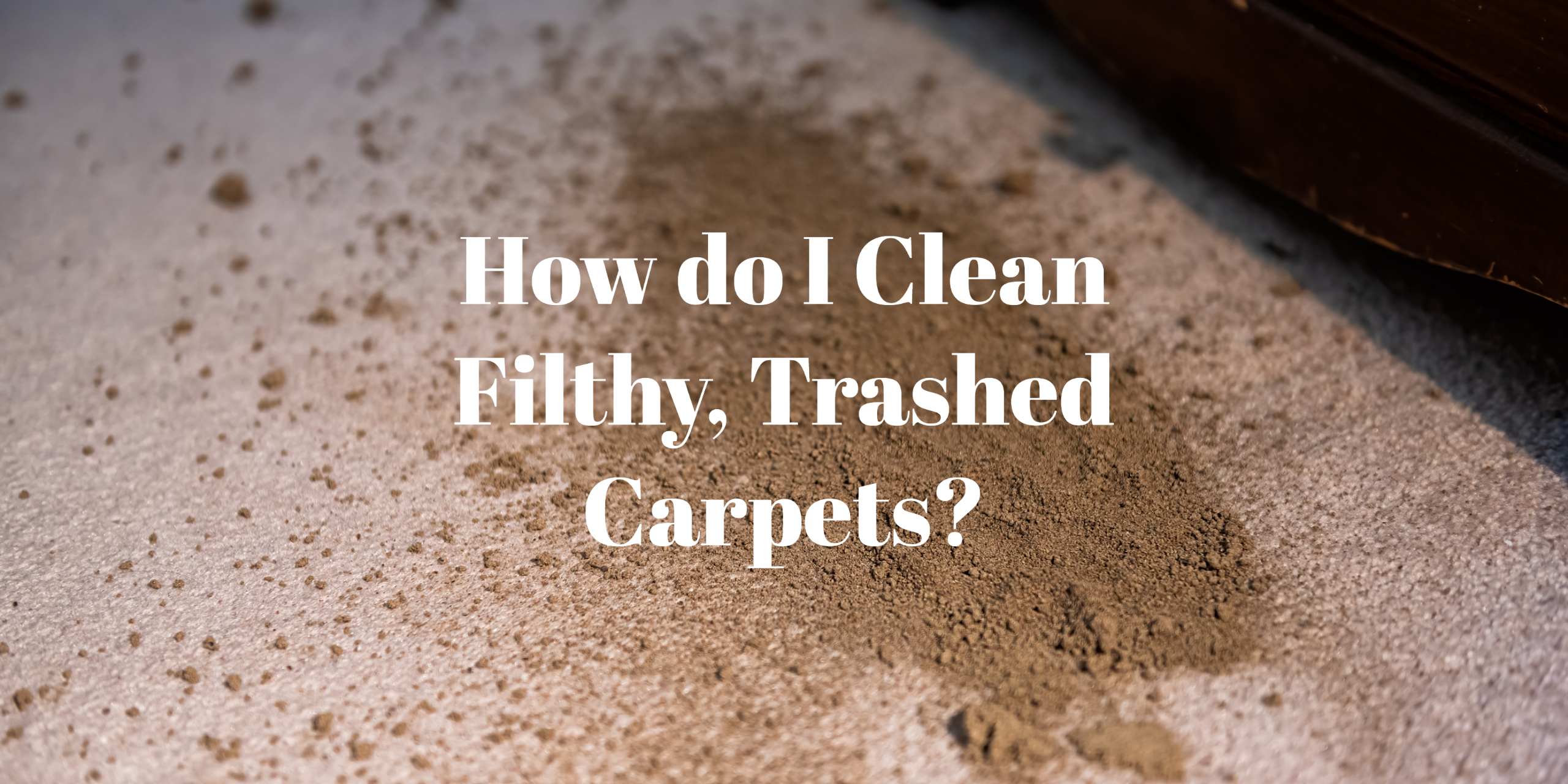 How do I Clean Filthy, Trashed Carpets?